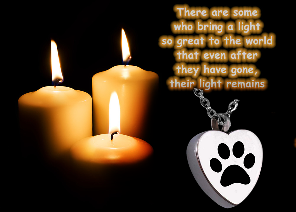 Personalized Name Date Engraved Pet Paw Cremation Urn Necklace for Dog Cat Ashes Keepsake Jewelry